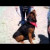 Hooch