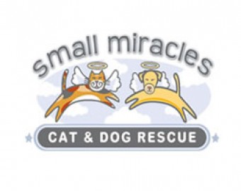 Small Miracles Cat and Dog Rescue